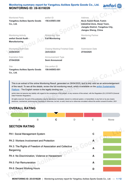 BSCI--Report-2025.5.5-2026